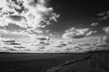 clouds over the field, country pathway or driveway, black and white cloudscape in Latvia countryside in sunny autumn day. Monochrome grayscale