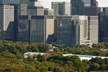 Tokyo, Castle, Imperial Palace, Woodland, Skyscrapers, Otemachi, Hibiya