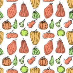 vector seamless pumpkin pattern. hand drawn vector line art yellow, orange and green pumpkin images. endless pumpkin background on white.