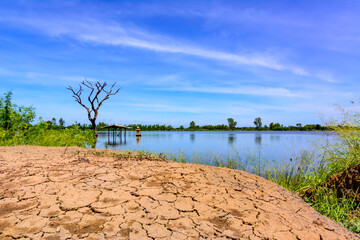 A flooded rice field in Suphan Buri province, Thailand, on a sky day and clear weather