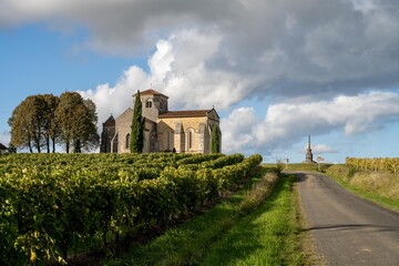 Eglise dans les vignes de cognac - obrazy, fototapety, plakaty