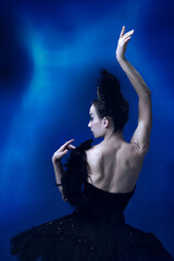 Fototapeta na wymiar Back view of beautiful woman, flexible ballerina in black ballet outfit, tutu dancing at blue studio full of light.