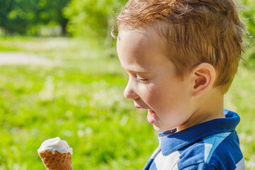 little caucasian boy enjoying a melting ice cream on a sweltering hot summer day. Green summer trees in background