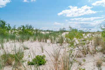View on dunes on hel peninsula on Baltic sea.