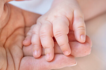 Obraz na płótnie Canvas Baby's hand in mom's hand. Mom holds hand of a newborn baby. Care concept