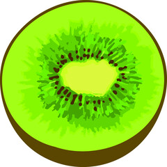 Vector illustration of kiwi close-up. Half of green fruit with seeds