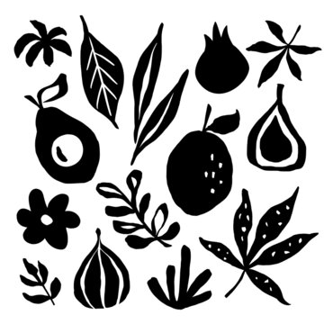 Set of ink graphic elements in cut-out style. Abstract illustrations of fruits and leaves.