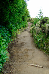 hiking trail at cidade lakes on azores islands