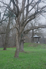 A little tea house hidden in a forest, a perfect place to take a well deserved break