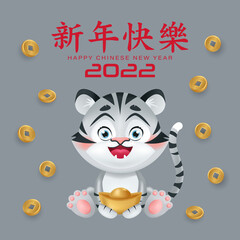 Chinese new year greeting banner, with cute kid tiger and ingot, coin. Translation Happy new year. Chinese zodiac. Cartoon vector illustration