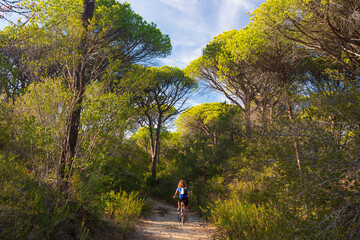 Woman riding MTB in Maremma nature reserve, Tuscany, Italy. Cycling among extensive pine forest...