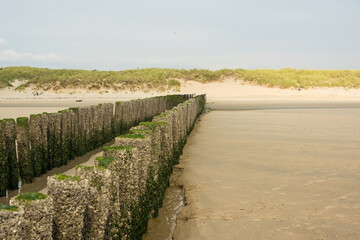 Fototapeta na wymiar breakwaters on the empty beach 