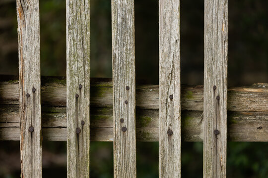 Background of textured fance from old wood in close up. hardwood with space for text. Structured planks nailed together. Wallpaper of rustic timber.