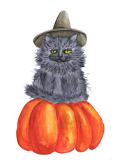 A black cat in a hat sits on a pumpkin. Halloween watercolor illustration.