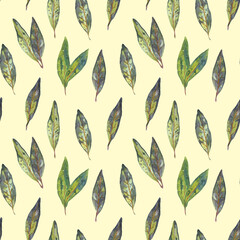 Pattern with watercolor leaves. Seamless pattern for design of packages, wallpapers, social posts, websites, textiles.