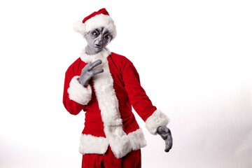 portrait of alien in Santa Claus costume on white background