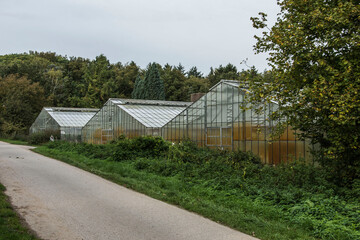 Fototapeta na wymiar three greenhouses with plants in autumn