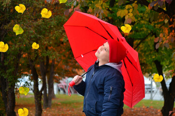 boy in a jacket in an autumn park sits on a bench with a red umbrella. Child with umbrella in beautiful autumnal day. Boy playing outdoors in the park with yellow leaves falling down