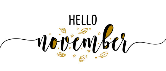 Hello November - Inspirational happy fall, autumn beautiful handwritten quote, gift tag, lettering message. Hand drawn autumn, November phrase. Handwritten modern brush calligraphy. Happy Thanksgiving © Zsuzsanna