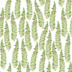 seamless watercolor pattern with green fern leaves on a white background to create backgrounds and textures