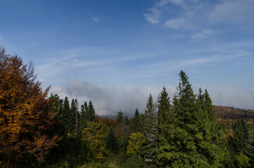 Bieszczadzkie panoramy 