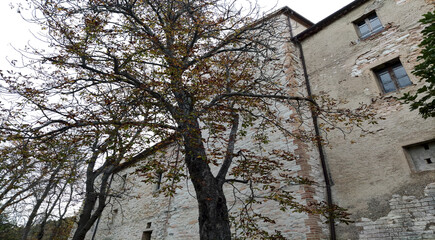 Caudino antica frazione di Arcevia nelle Marche