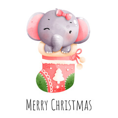 Christmas elephant in the sock
