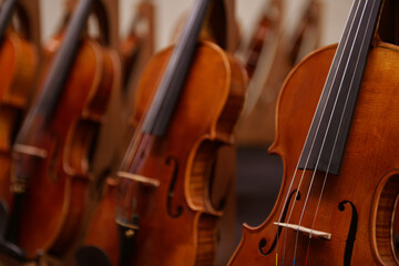 Fototapeta premium Music sound industry. Close up view with a lot of violins made of wood.
