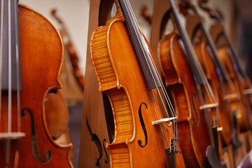 Music sound industry. Close up view with a lot of violins made of wood. © Dragoș Asaftei