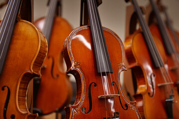 Music sound industry. Close up view with a lot of violins made of wood.