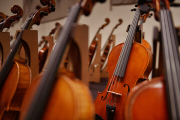 Fototapeta premium Music sound industry. Close up view with a lot of violins made of wood.