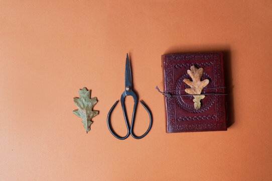 Occult book of spels and vintage scissors on orange fall color minimalistic background