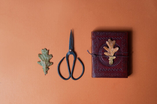 Occult book of spels and vintage scissors on orange fall color minimalistic background