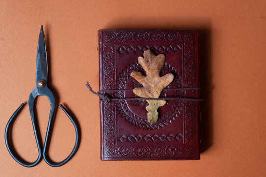 Occult book of spels and vintage scissors on orange fall color minimalistic background