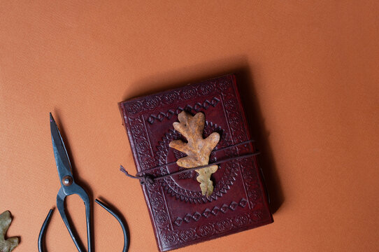 Occult book of spels and vintage scissors on orange fall color minimalistic background