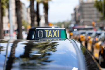 Group of taxi cabs in Barcelona