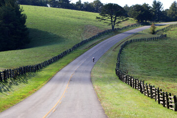 A bicyclist rides along the beautiful roadway on the Blue Ridge Parkway in North Carolina.