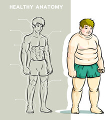 healthy body anatomy graph with fat man