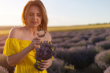 Beautiful and pretty young woman in yellow dress relaxes and enjoys walk in the lavender field at...