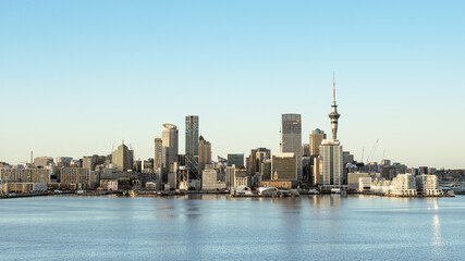 Auckland Downtown  - obrazy, fototapety, plakaty
