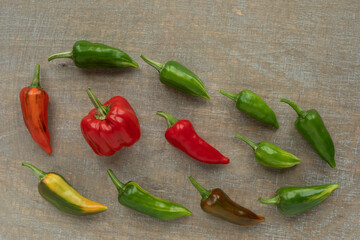 Chili peppers of different shape and color harvested from one plant. Hybridization of homegrown pepper vegetables.