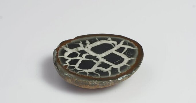 Septaria on a white background. Turtle stone. Dragonstone.
