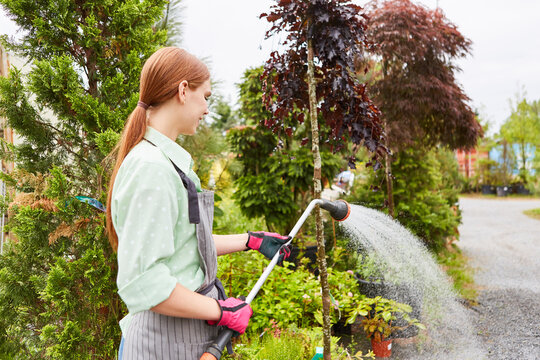 Gardener apprentice watering flowers and plants