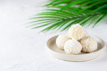 Sweets in coconut flakes on the background of a palm branch. Sugar, gluten and lactose free, vegan. Horizontal orientation, copy space.