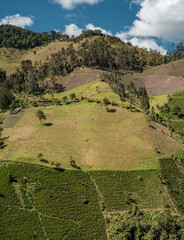 Cultivations on the steep slope of the deforested mountain between Tolima and Quindio, Colombia - obrazy, fototapety, plakaty