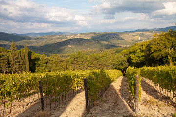Fototapeta na wymiar Chianti vineyard evening landscape in Tuscany, Italy, Europe at sunset.