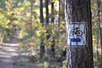 Bike track sign in the forest during sunny day.