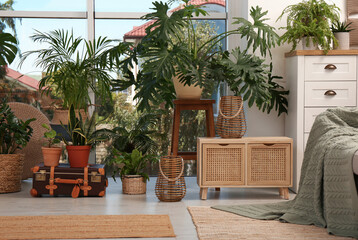 Fototapeta premium Stylish living room with beautiful plants. Interior design