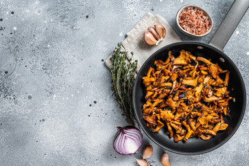 Fried chanterelle mushrooms with onions and thyme in a skillet. Gray background. Top view. Copy space