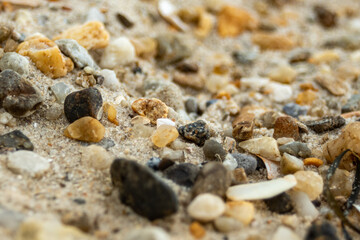 Pebbles , shells, and sand galore.